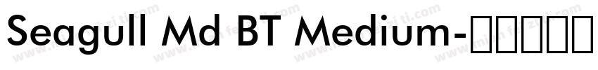 Seagull Md BT Medium字体转换
